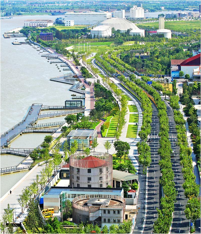 上海徐汇滨江84公里绿道贯通花花草草每季有新貌