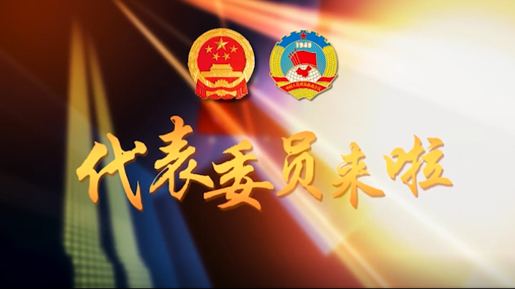 孙燕委员谈打造政府引导下的专业孵化器