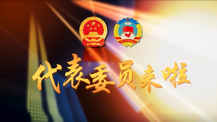 陈文洁委员谈加大支持松江区侨资企业发展