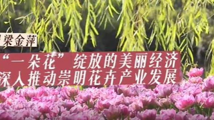 代表建议花卉产业.mp4