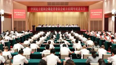 秦博勇出席民建湖北省委成立40周年纪念大会并调研市级组织建设