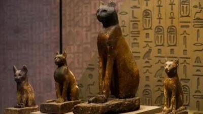峰起云泳丨古埃及的猫