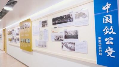 视频丨致公党上海市委机关走廊文化墙全新亮相