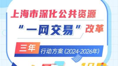 持续深化推进“一网交易”改革！上海第二轮三年行动方案发布