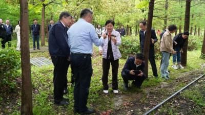 共谋生态文明建设新篇章，上海市政协召开关注森林活动组委会会议