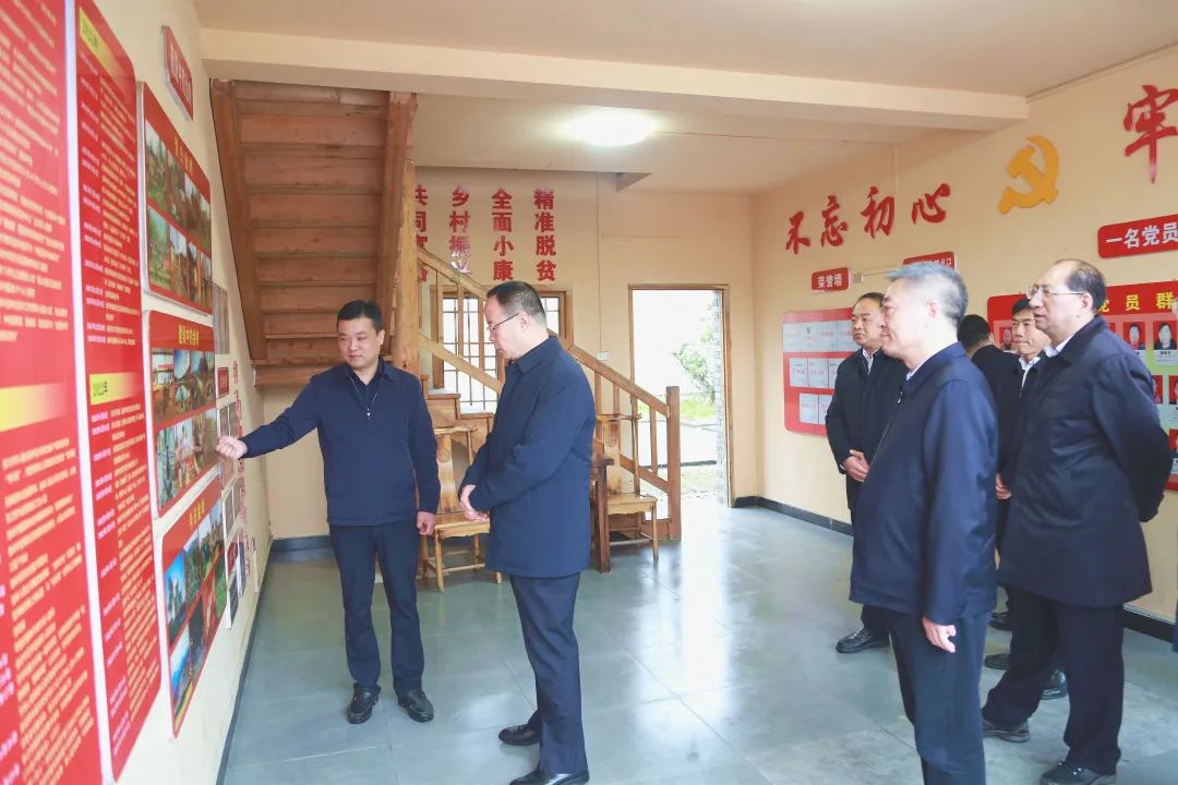 3月20日，孙伟主席调研大悟县新城镇金岭村。