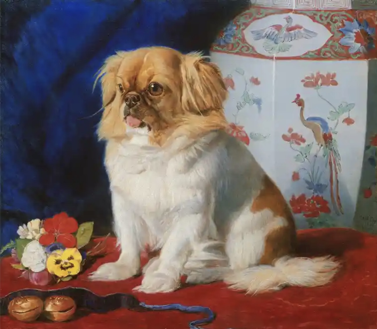 弗里德里希·威廉·凯尔于1861年为京巴犬“露蒂”作的肖像。 英国皇家收藏信托