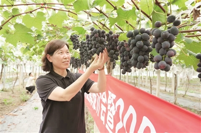 民盟盟员蒋爱丽