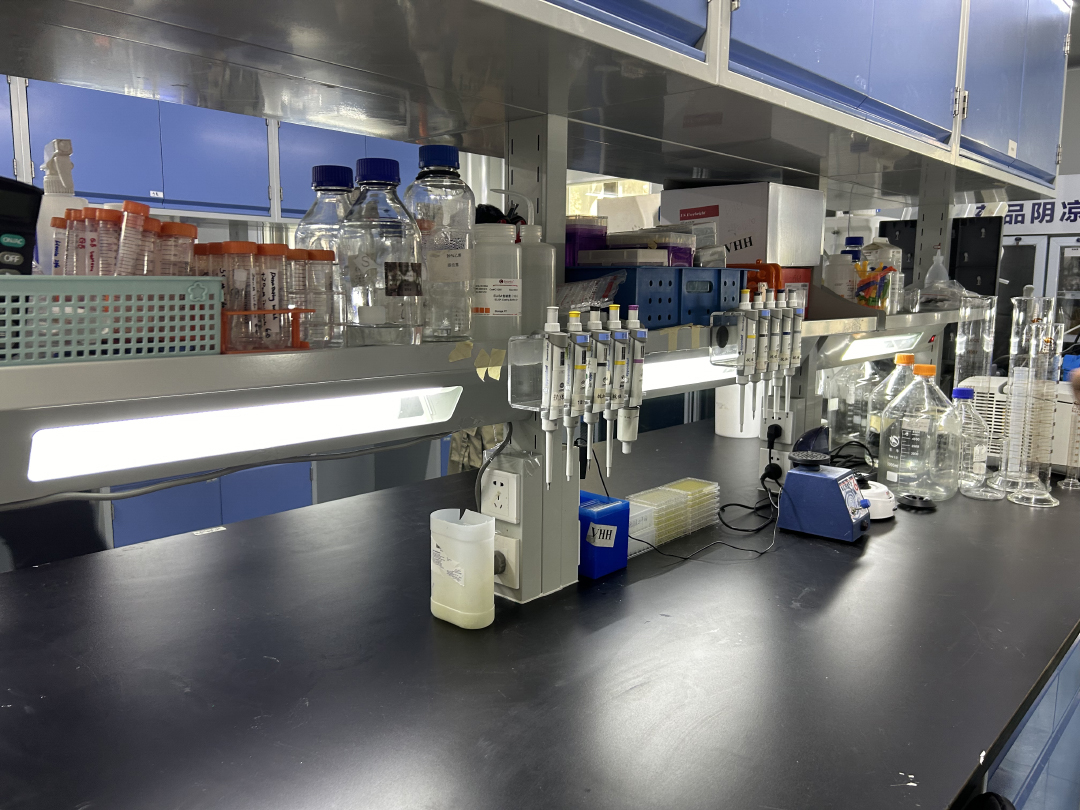 6月3日，上海赛伦生物技术股份有限公司，实验室内景。澎湃新闻记者 李佳蔚 图