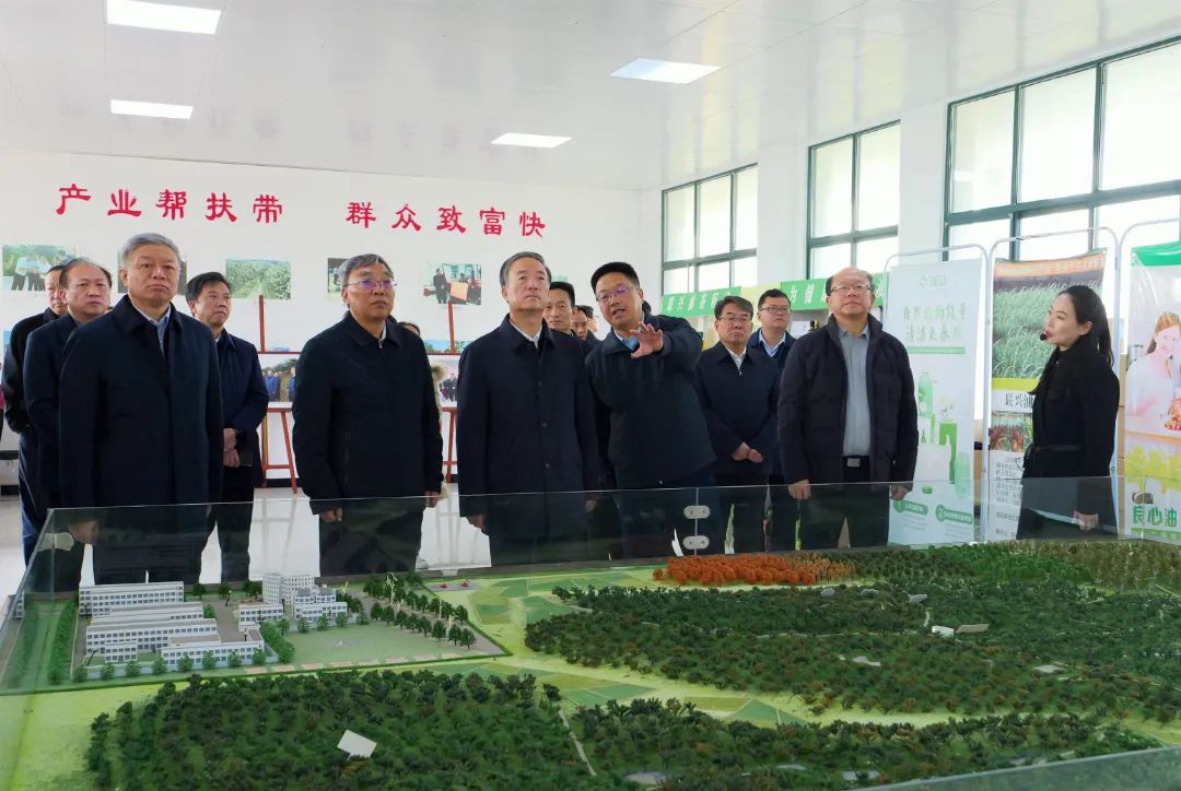 住黔全国政协委员考察团在河南省信阳市光山县司马光油茶园学习考察。刘蓝婴 摄