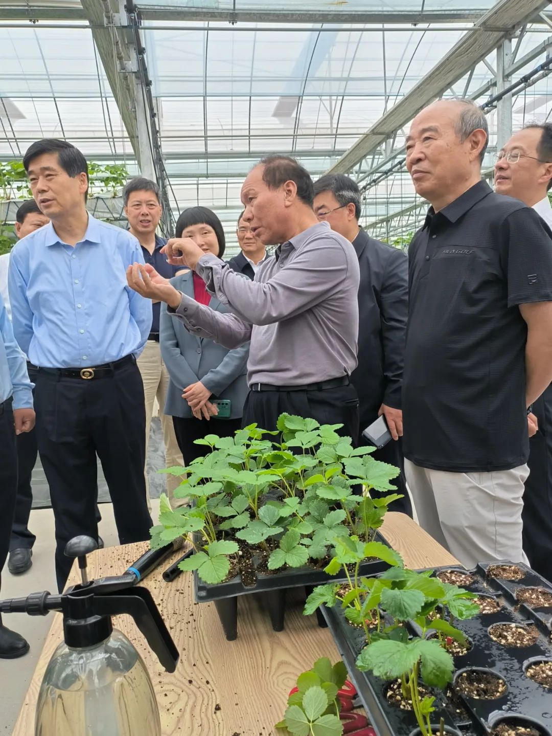 2023年5月19日，全国政协农业和农村委员会围绕“统筹城乡融合发展，全面推进乡村振兴”在浙江省嘉兴市平湖市广陈镇长三角优质草莓种源研发中心调研。（全国政协农业和农村委员会办公室供图）