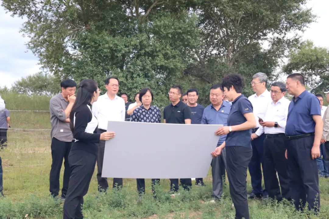 2023年8月，全国政协人口资源环境委员会“黑土地保护”民主监督调研组到内蒙古通辽市库伦旗调研黑土地保护与利用实施情况。（全国政协人口资源环境委员会办公室供图）