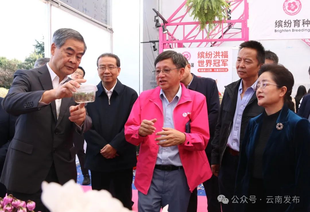 视察组一行在缤纷园艺有限公司考察。图源：云南政协报