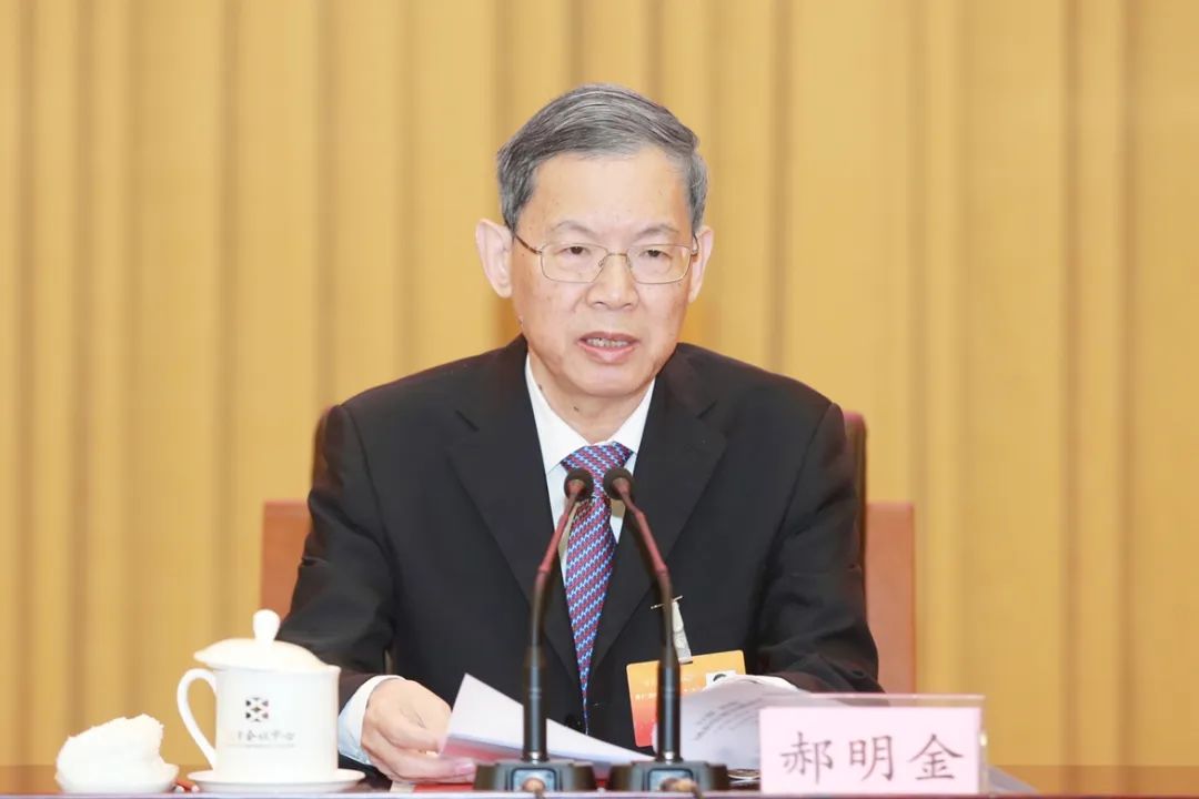 郝明金代表民建第十二届中央常务委员会作工作报告