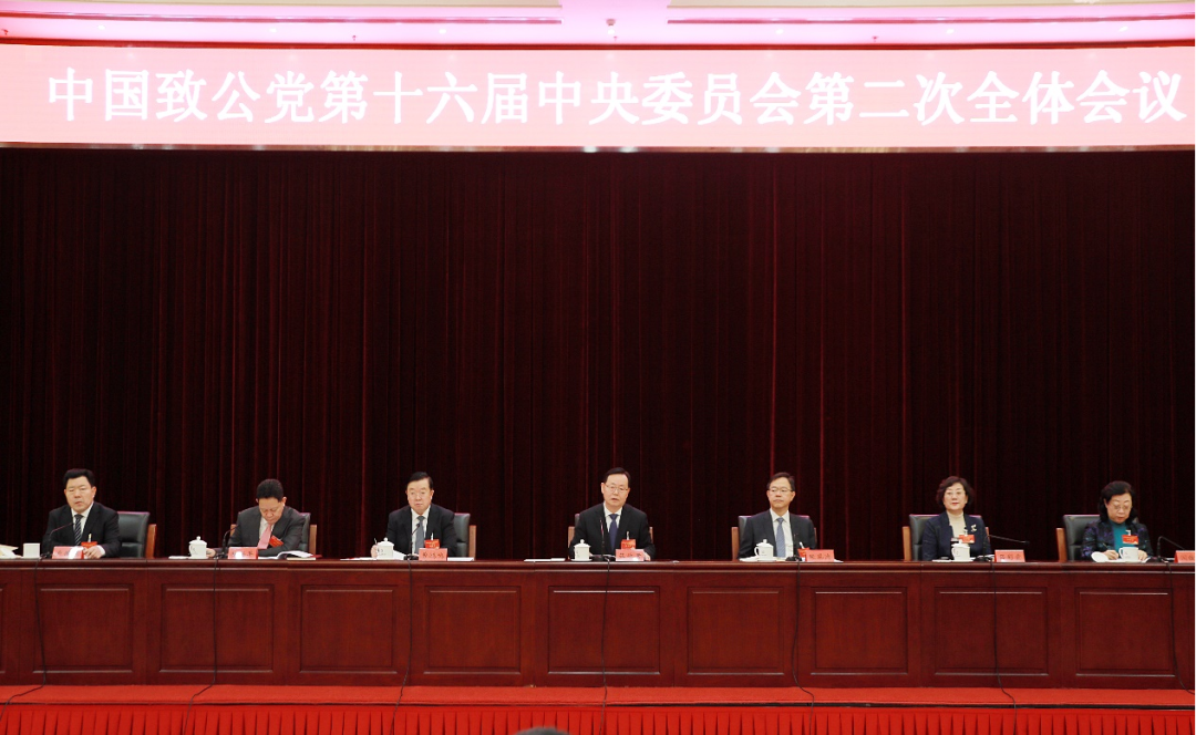 致公党十六届二中全会现场