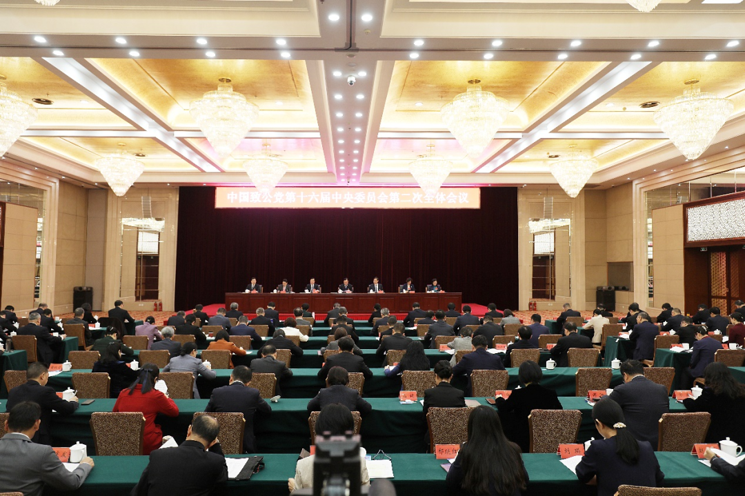 致公党十六届二中全会现场
