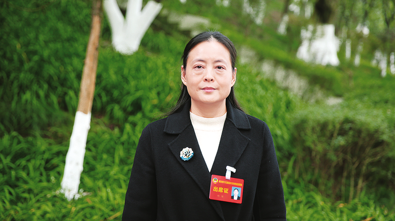 杨敏
