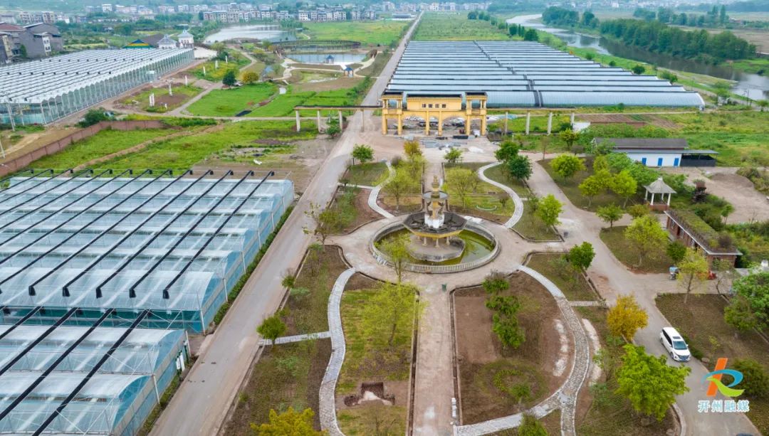 鲁渝(寿光)蔬菜现代产业园南门基地 崔家清 摄