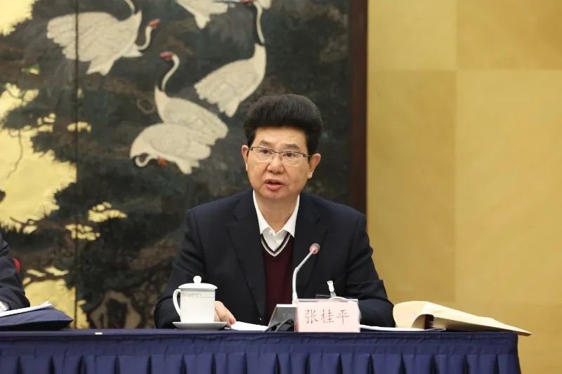 张桂平作工作报告