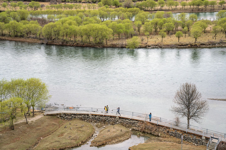 游客在西藏雅尼国家湿地公园欣赏风景（2025年4月4日摄）。新华社记者 丁增尼达 摄