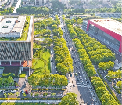 上海浦东图书馆绿地。上海市浦东新区生态环境局供图