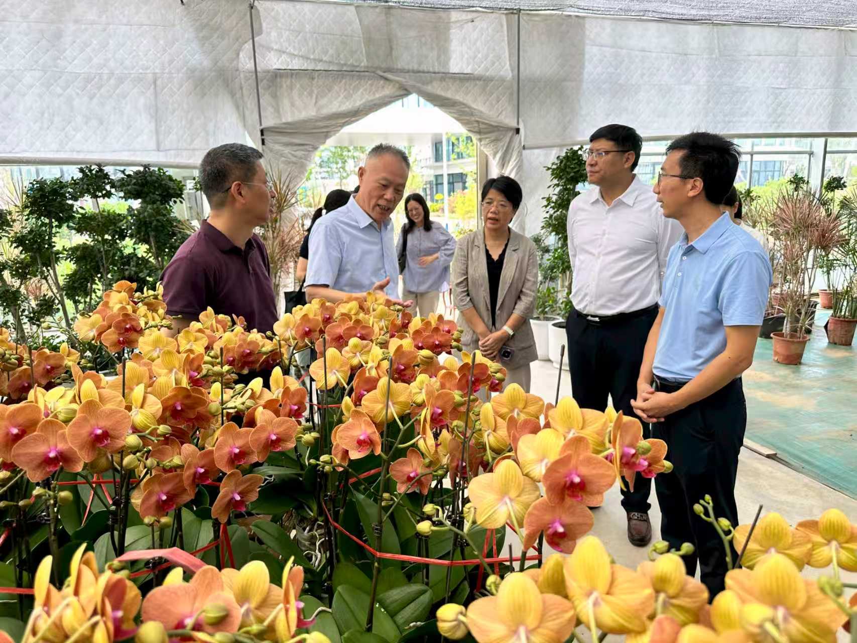 专委会在松江区叶榭镇调研花卉产业发展情况 图片由 丁元圆 摄