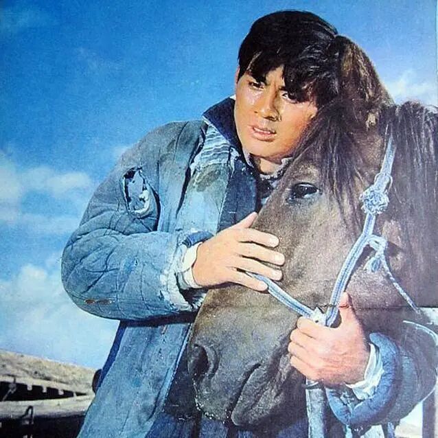 《牧马人》<BR/>(1982)