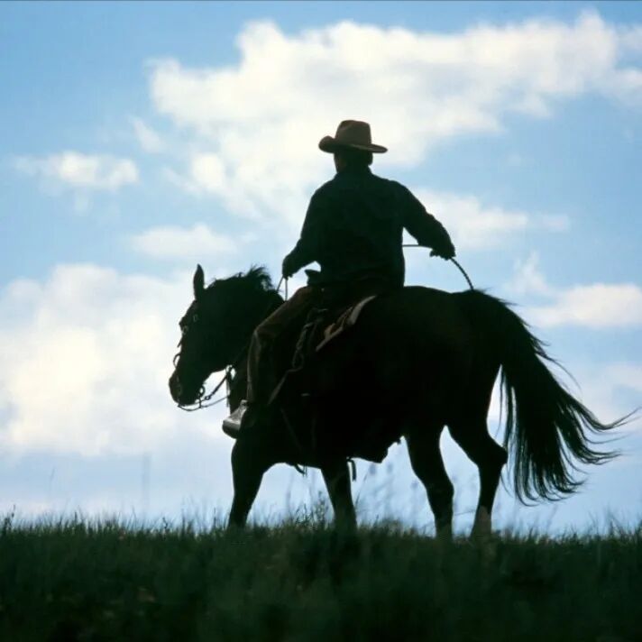 《马语者》<BR/>(The Horse Whisperer, 1998)