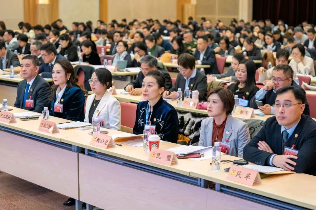 大会发言现场 虹口区政协供图