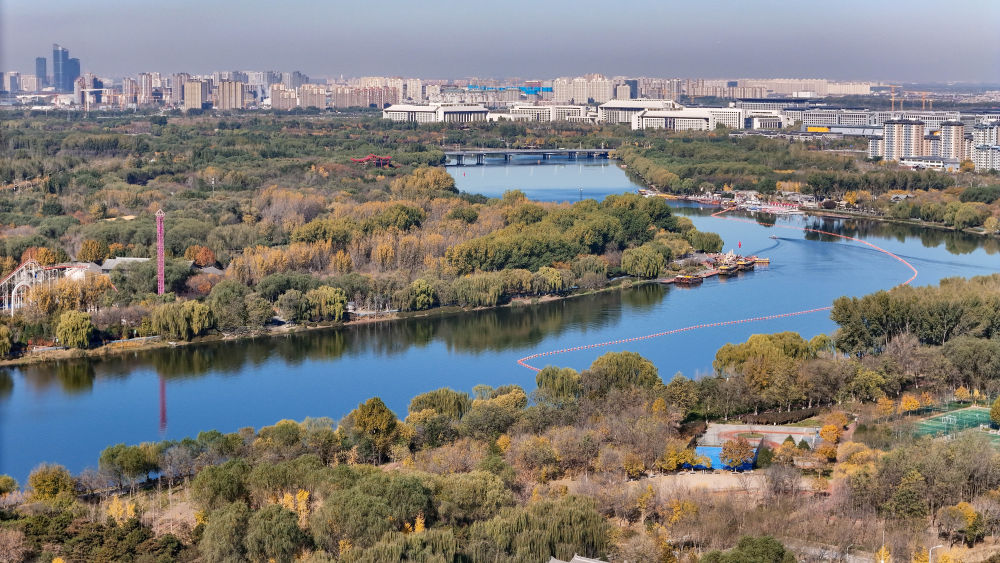 这是2024年11月5日拍摄的北京城市副中心和大运河森林公园。新华社记者 鞠焕宗 摄