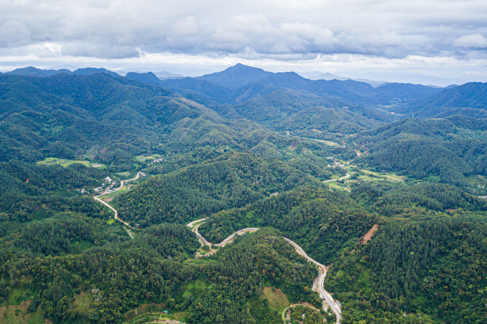 这是2025年7月22日在海南省保亭黎族苗族自治县毛感乡拍摄的热带雨林及蜿蜒其中的环热带雨林国家公园旅游公路（无人机照片）。新华社记者 蒲晓旭 摄