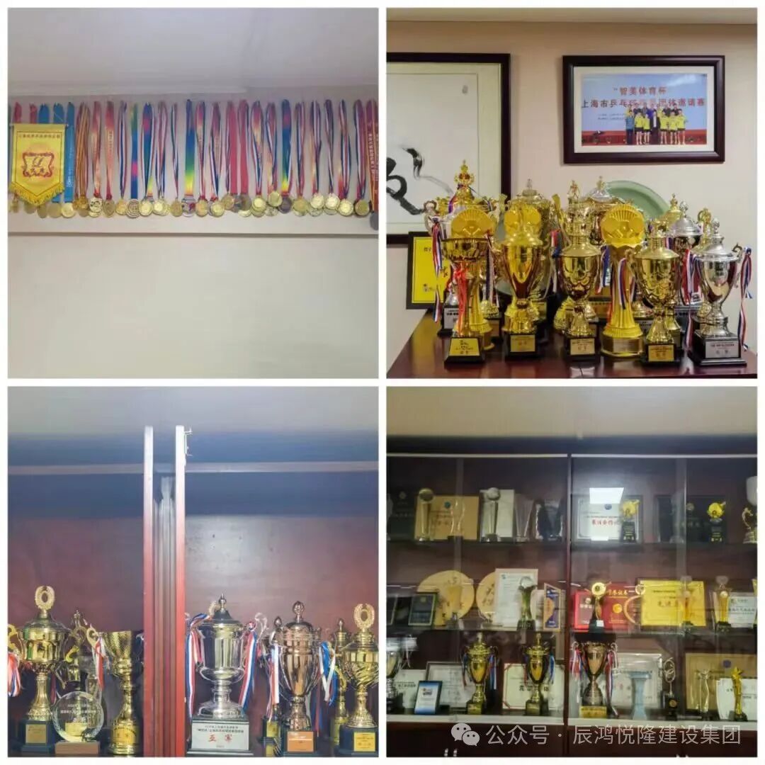 ▲集团下属上海悦隆乒乓球俱乐部累计荣获省市级、全国性、国际性乒乓交流比赛冠军共计九十余项，累计获奖一百二十余项。