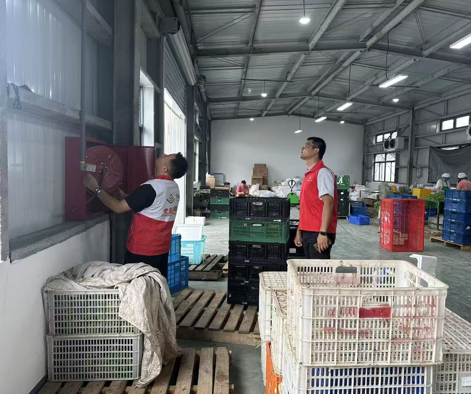 汪明在村内蔬菜专业合作社参与安全检查