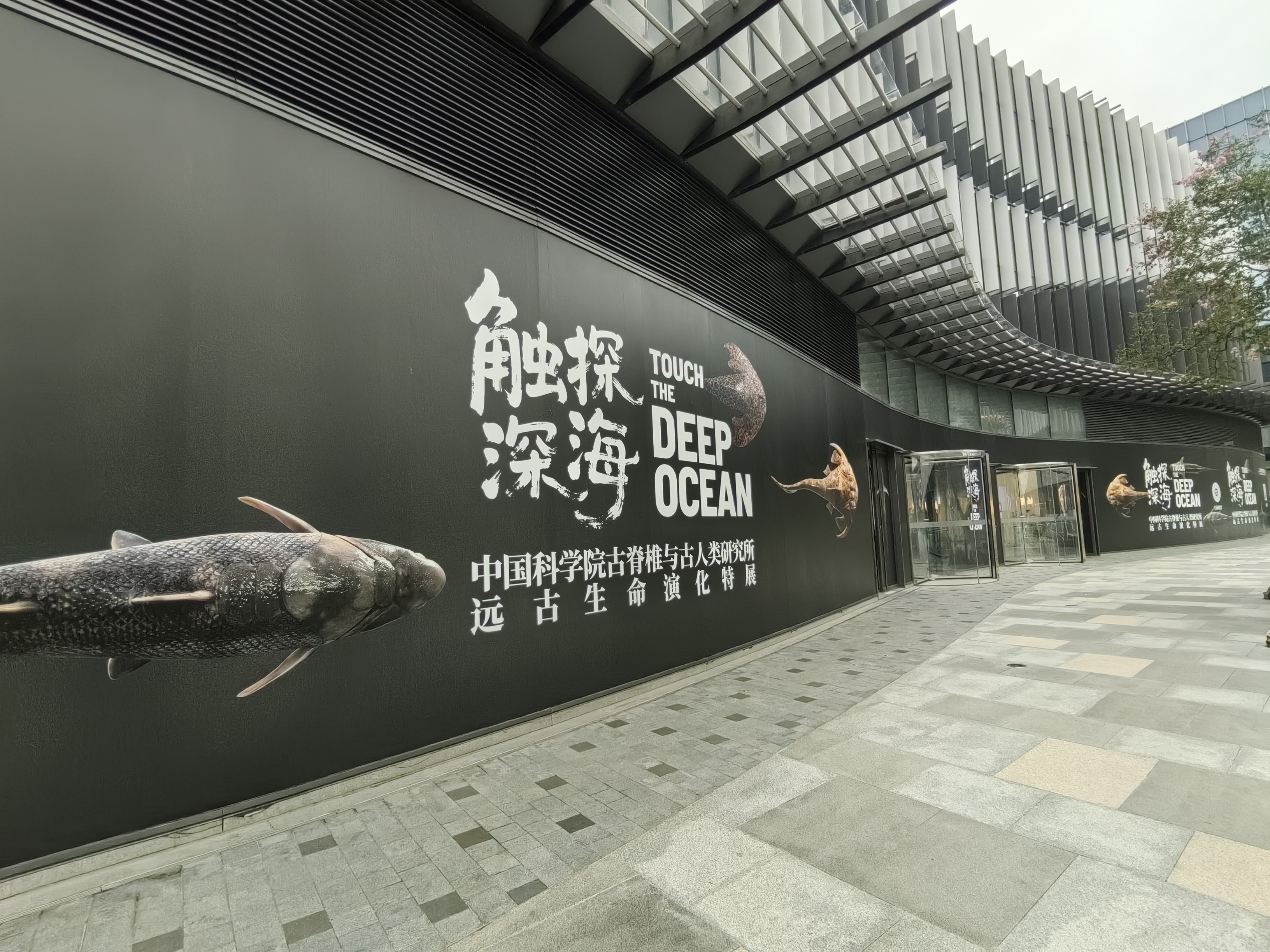 “触探深海”展 董潇韩摄