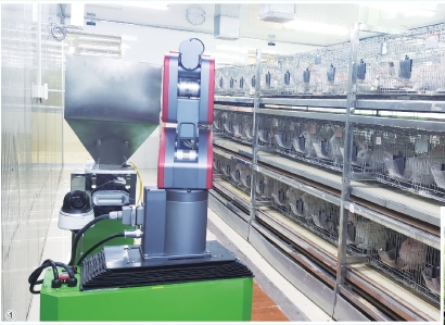 奉贤庄行镇群超农业合作社养兔场引入了机器人喂料设备。