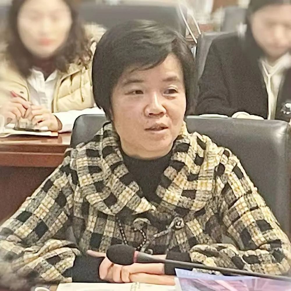 解蕾杨震青吕娜徐卫星章红兵会上,离任委员代表徐艳,李琼,黄幽妮先后