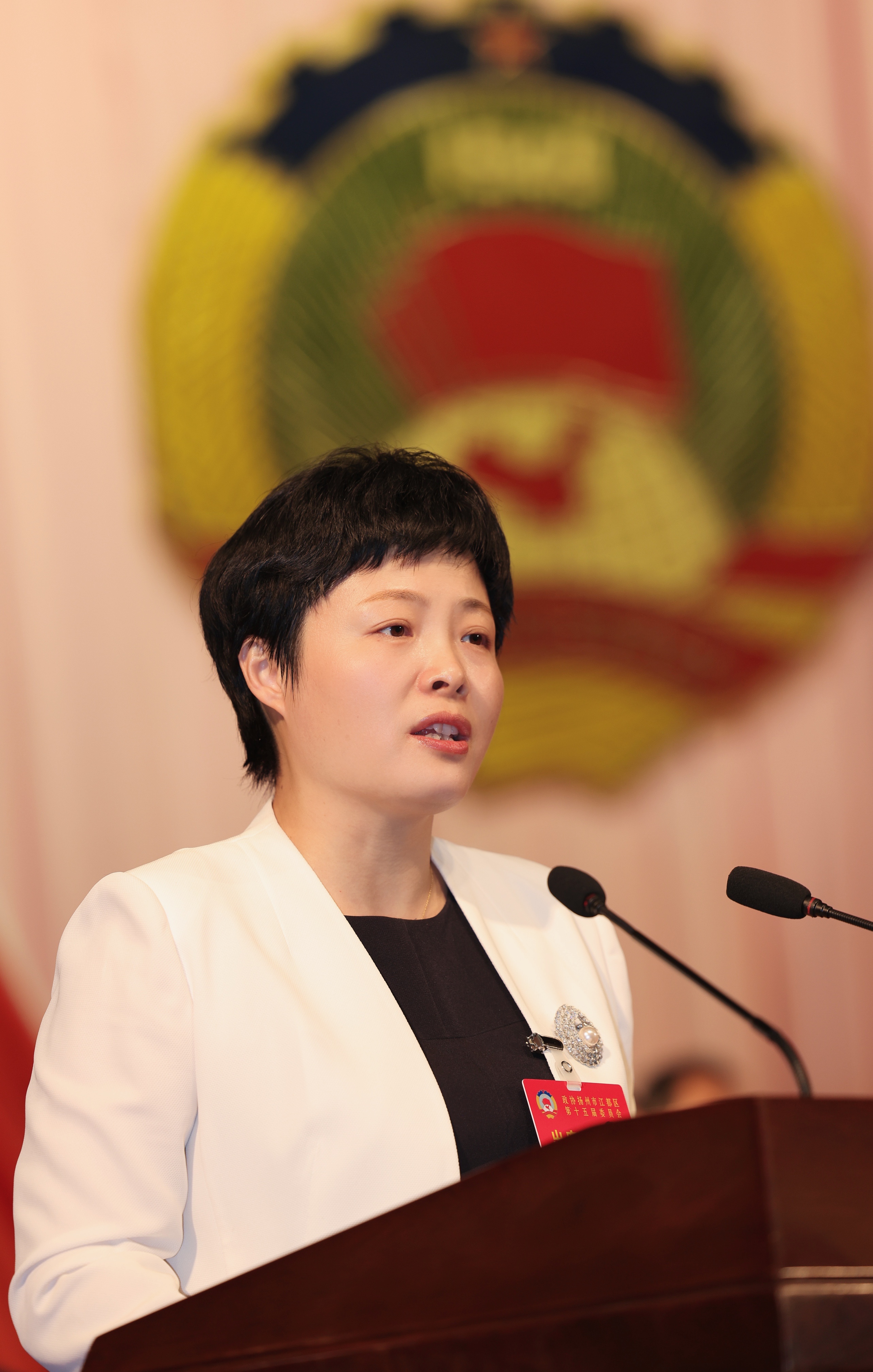 政协扬州市江都区第十五届委员会第一次会议隆重开幕