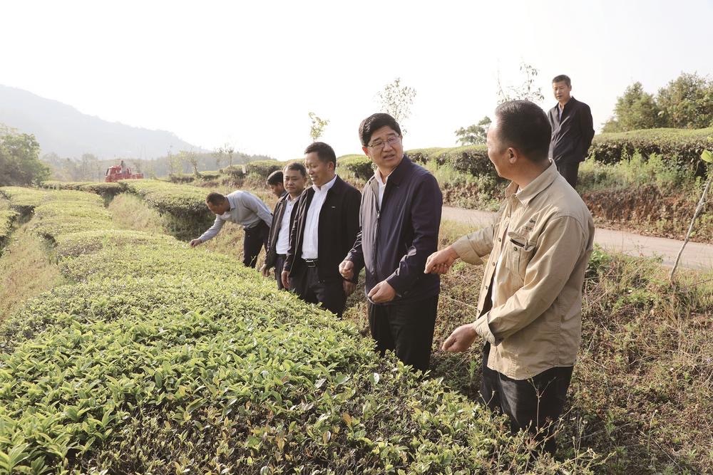 2022年3月14日，普洱市政协主席陆平到思茅区思茅街道箐门口村稗子仓村民小组，调研“双助推”和“协商在基层”工作情况。