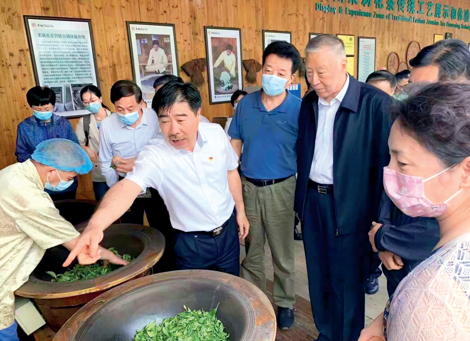 2022年6月,全国政协农业和农村委员会“统筹推进茶产业高质量发展”调研组赴福建省开展调研。图为春伦集团公司人员向调研组介绍福州茉莉花茶产业发展和传统工艺情况。(全国政协农业和农村委员会办公室供图)