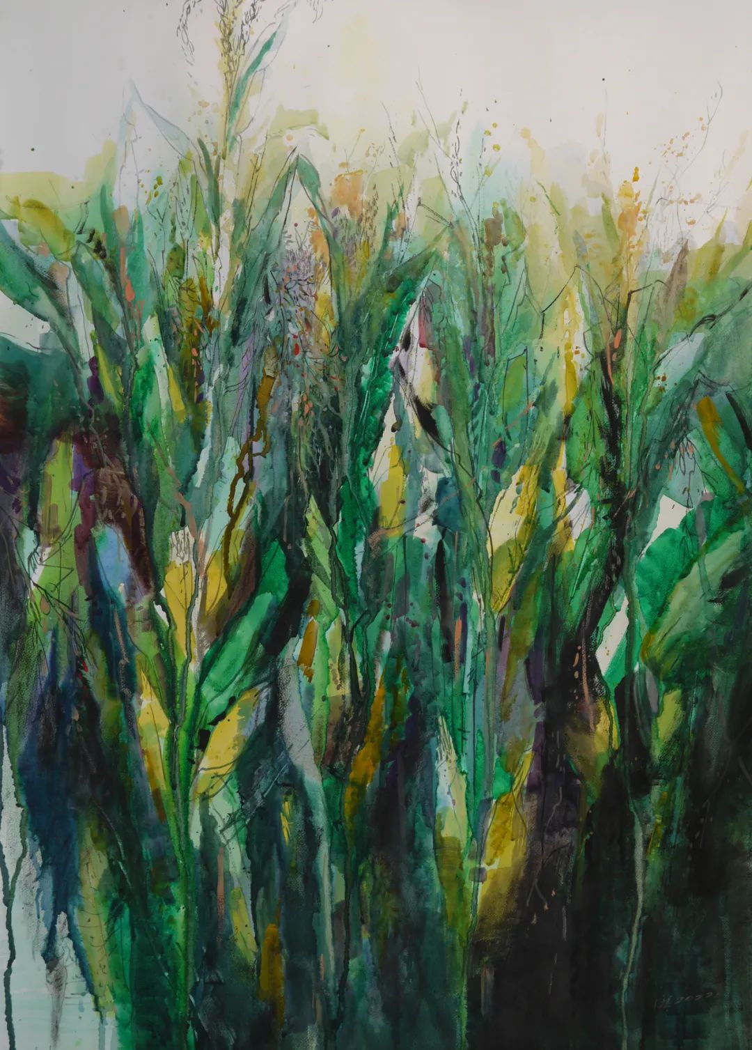 《丰年可期》 107×77cm 纸本水彩