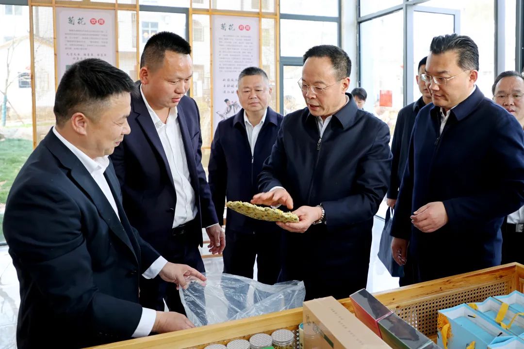 3月27日，孙伟主席在麻城市黄土岗镇张家墩村调研乡村振兴和共同缔造工作。