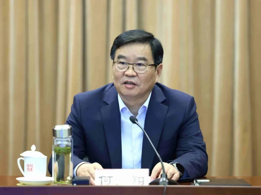 全国政协副主席、民革中央常务副主席 何报翔