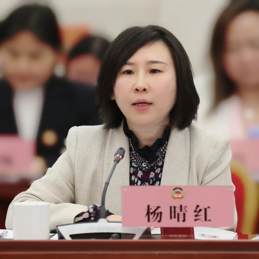 <strong>杨晴红</strong><BR/>区政协委员、乐高玩具(上海)有限公司政府事务高级总监