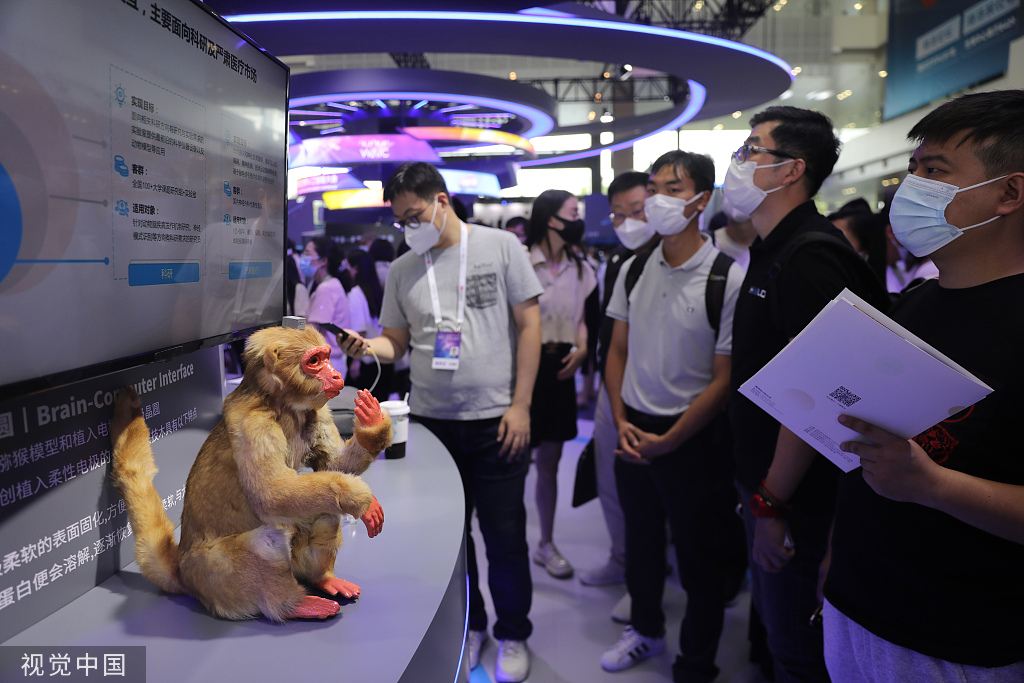 2022年9月1日，上海，2022世界人工智能大会在世博中心举办，脑机接口公司脑虎科技展台放置了头顶带有脑机接口植入体的猕猴模型。 视觉中国 资料图