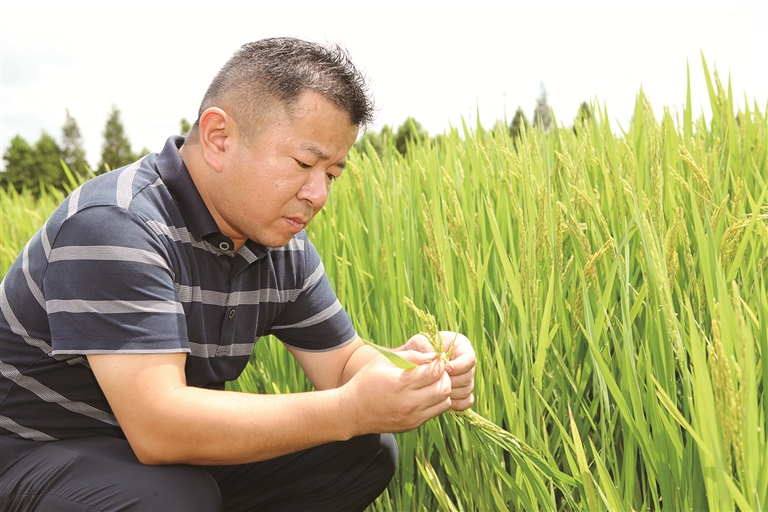 松江区政协委员张春辉