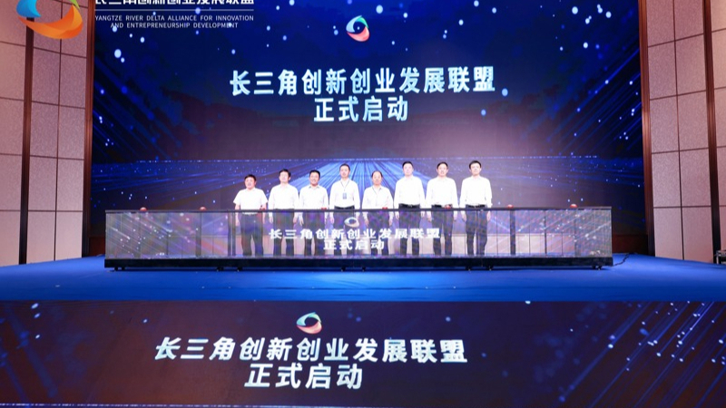 杨浦区供图
