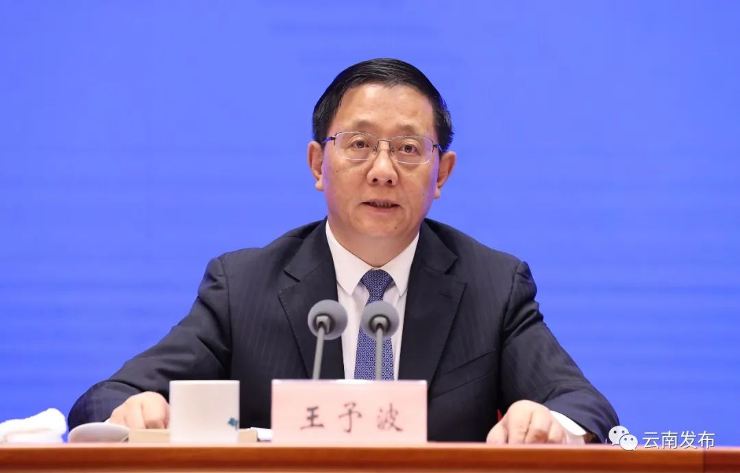 王予波向全球华商推介云南