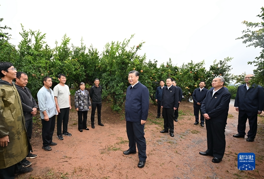 9月24日,中共中央总书记、国家主席、中央军委主席习近平在浙江考察结束返京途中,来到山东省枣庄市考察。这是习近平在位于峄城区的冠世榴园石榴种植园同老乡们亲切交流。新华社记者谢环驰摄