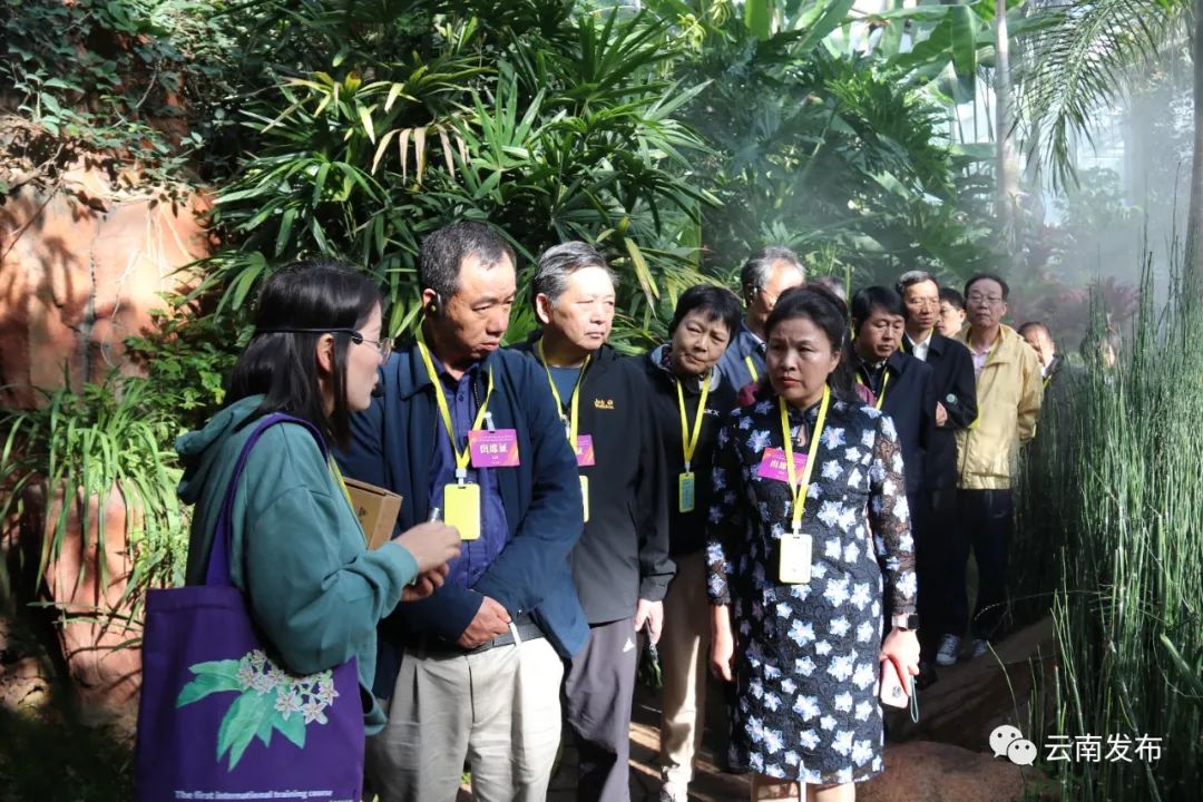 与会人员在中科院昆明植物研究所考察