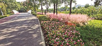 长宁区外环林带生态绿道。陈玺撼 摄